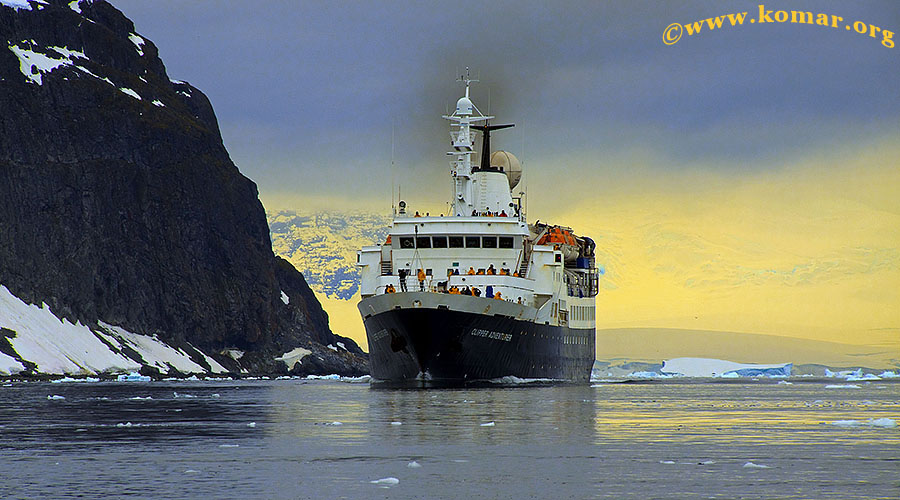 danco island antarctica clipper adventurer