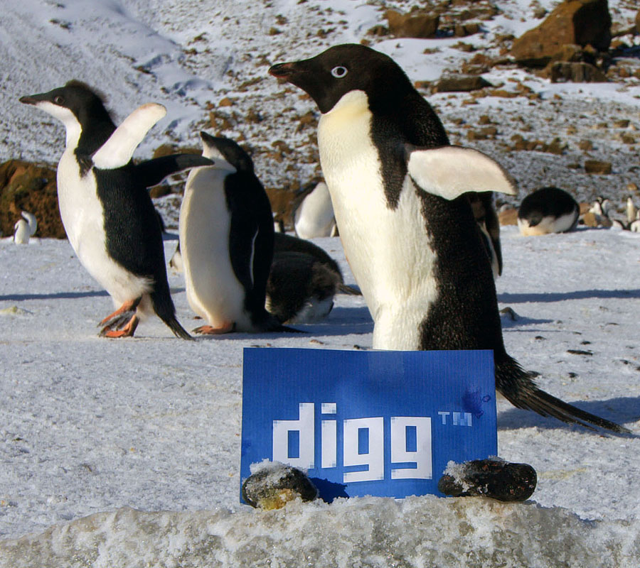 digg antarctica 5