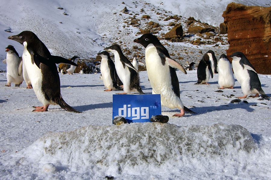 digg antarctica 5