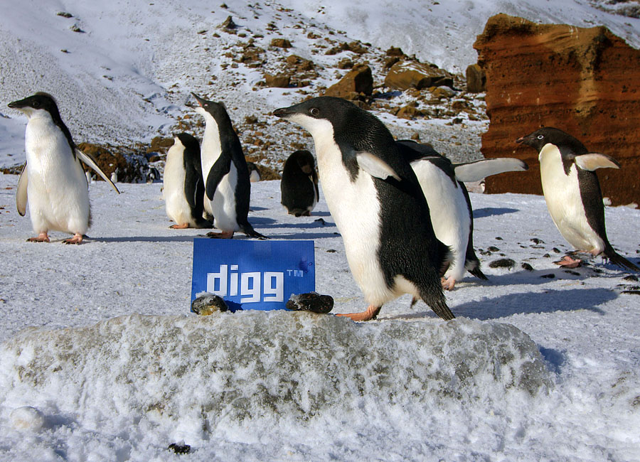 digg antarctica 5