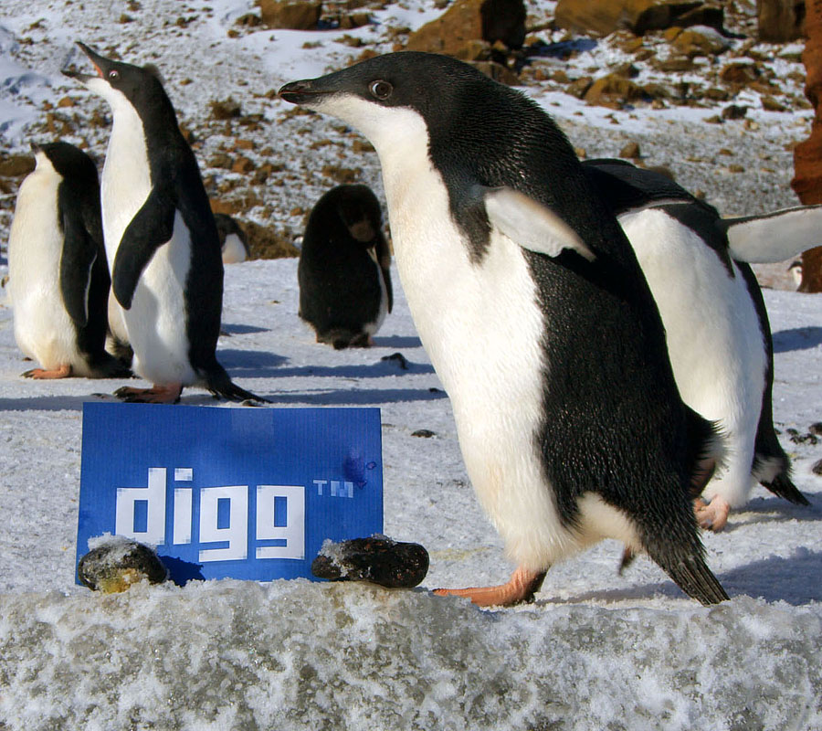 digg antarctica 5