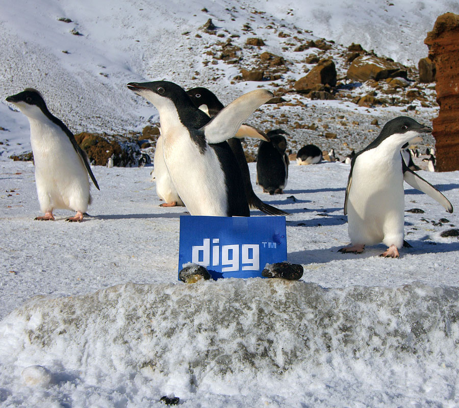 digg antarctica 5