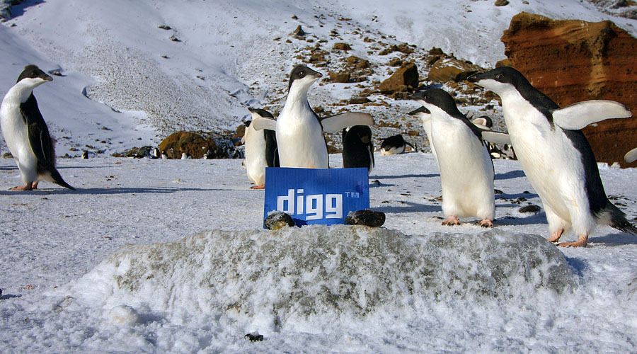 digg antarctica 5