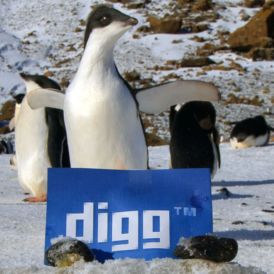 digg antarctica 5