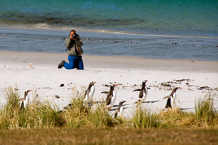 Carcass Island - Falklands 6
