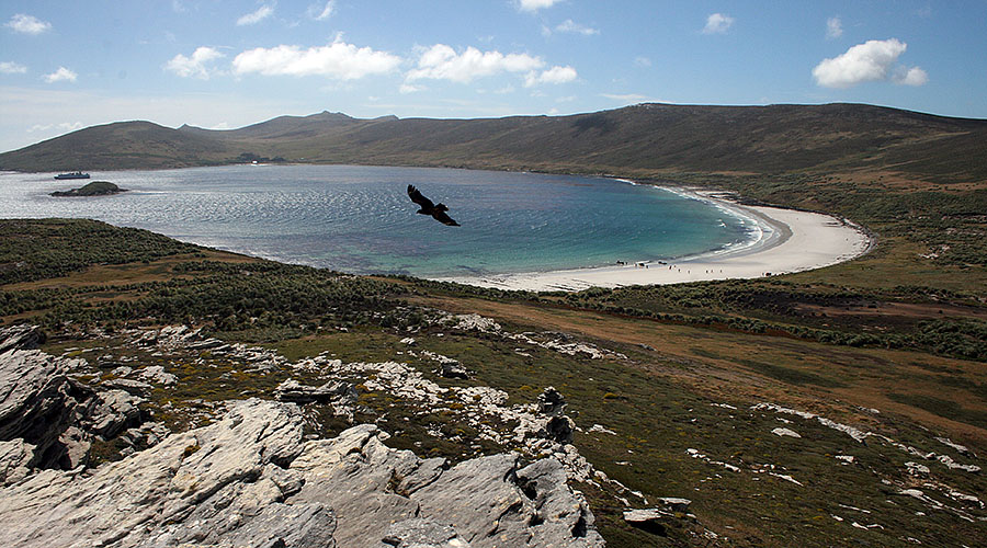 Carcass Island - Falklands z1