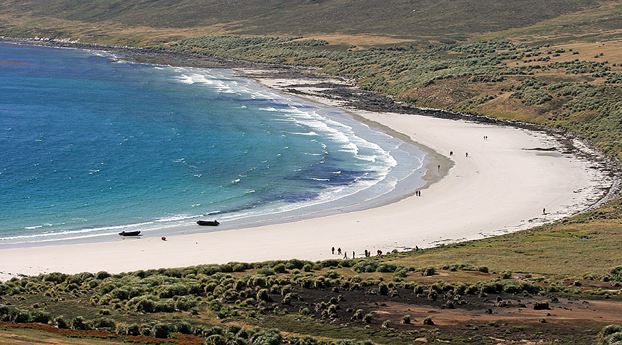 Carcass Island - Falklands d1