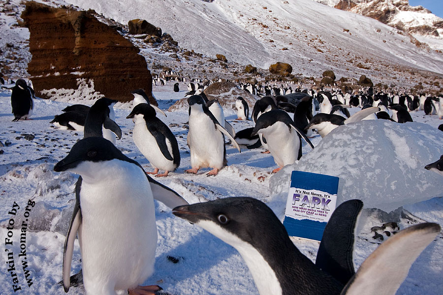 fark antarctica 6