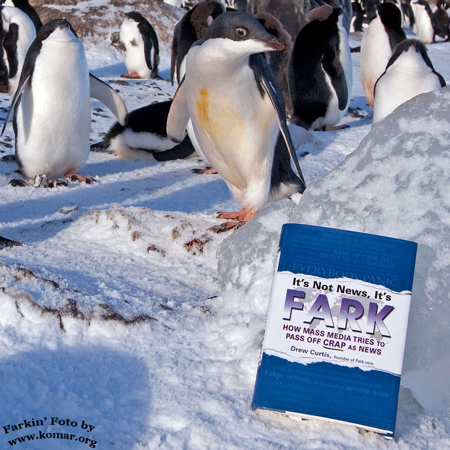 fark antarctica 7