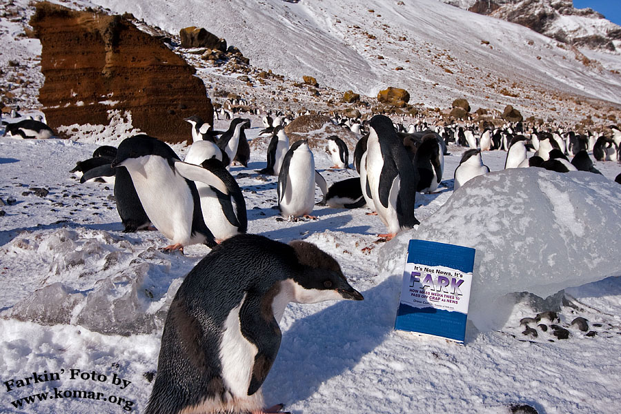 fark antarctica 8