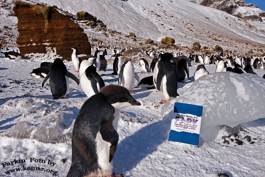 fark antarctica 9