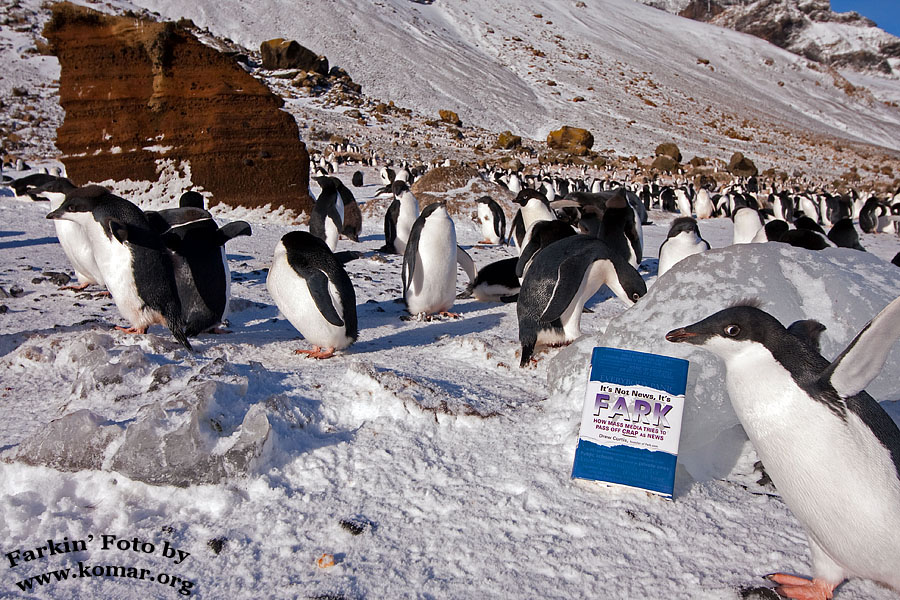 fark antarctica a