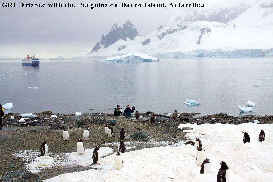 antarctica frisbee