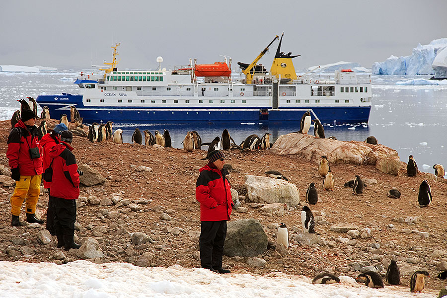 neko harbor antarctica land