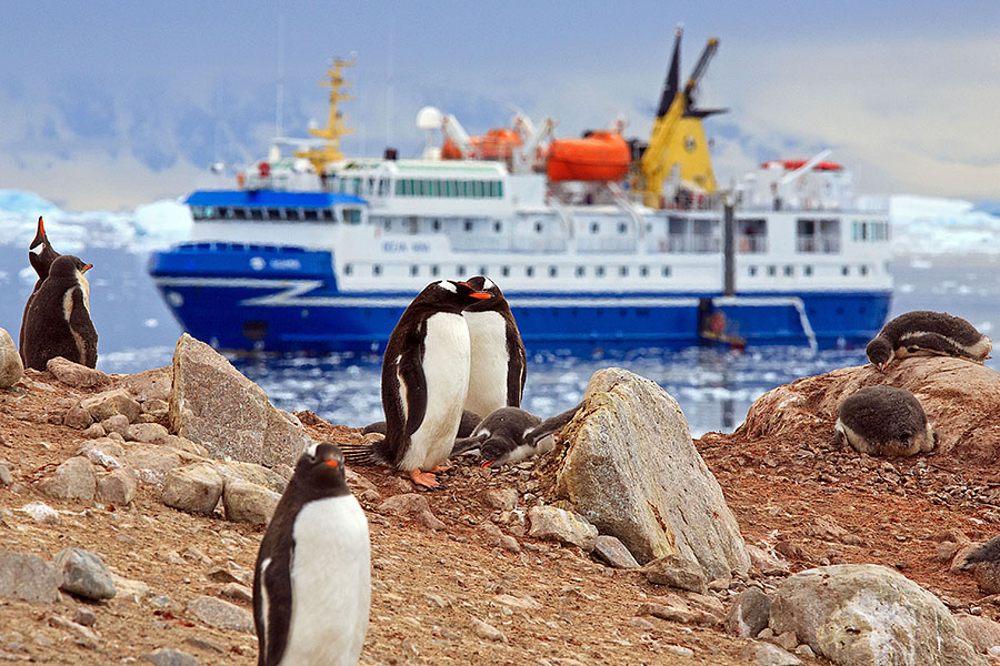 neko harbor antarctica z2