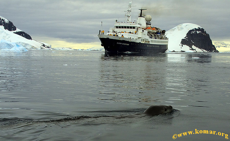 danco island antarctica clipper