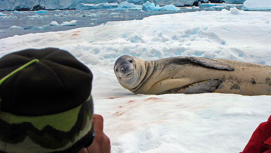 antarctica port charcot l