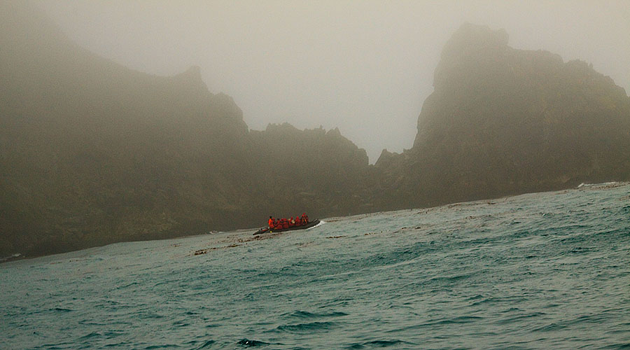 elsehul south georgia