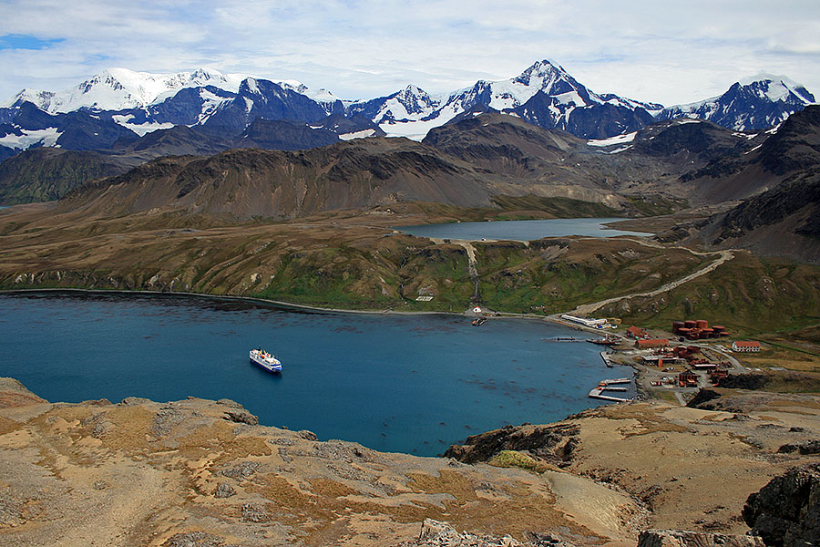 grytviken south georgia ocean nova 2