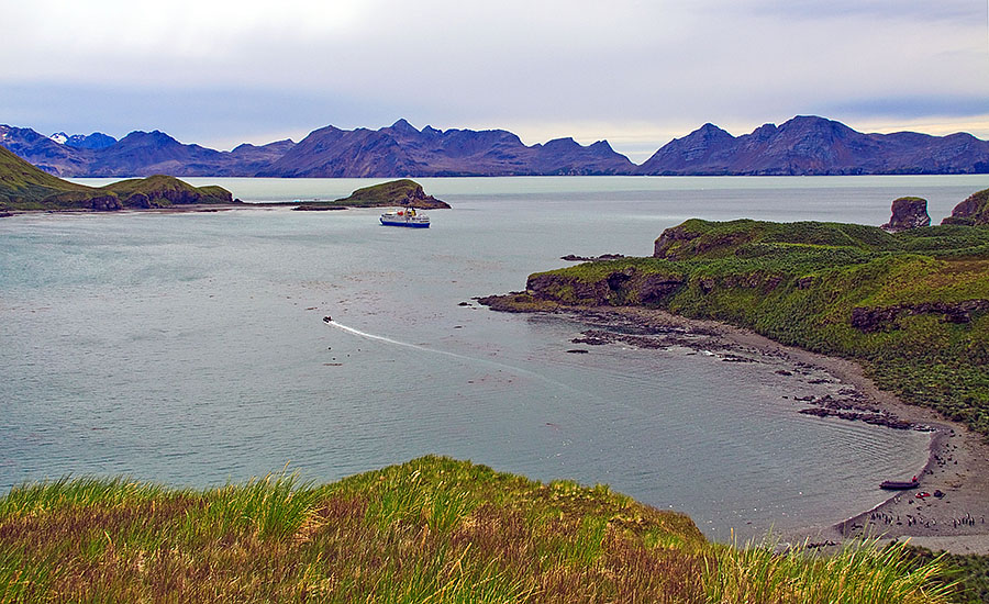 grytviken south georgia ocean nova 2