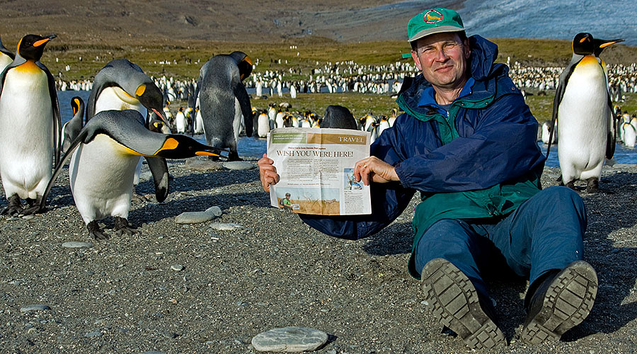 king penguins alek saint andrews bay