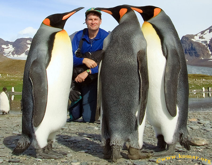 alek with penguins