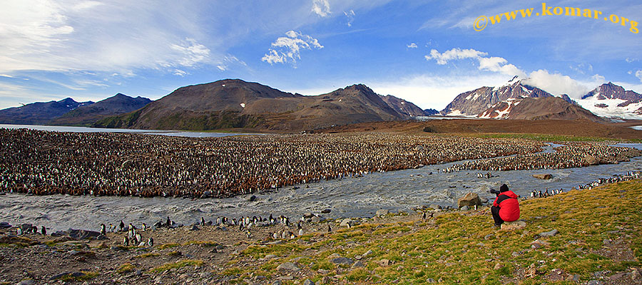 saint andrew south georgia