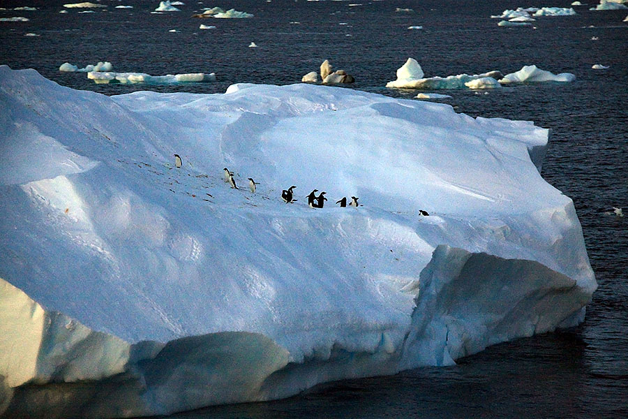 antarctica sunrise a