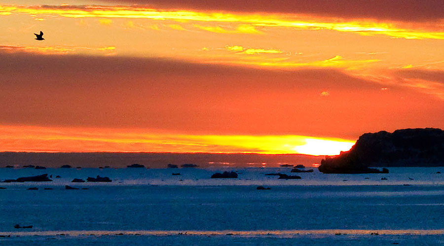 antarctica sunrise l
