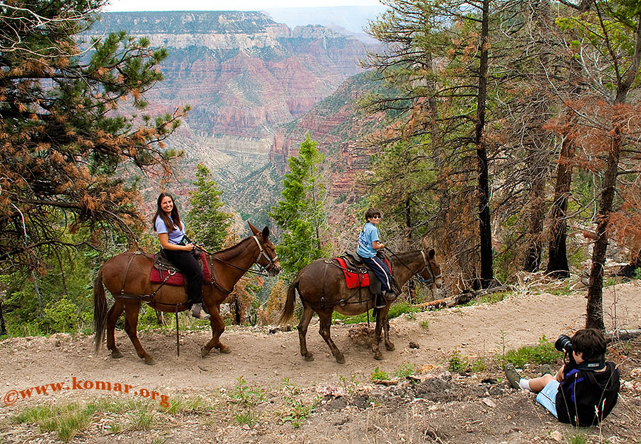 grand canyon north rim 3