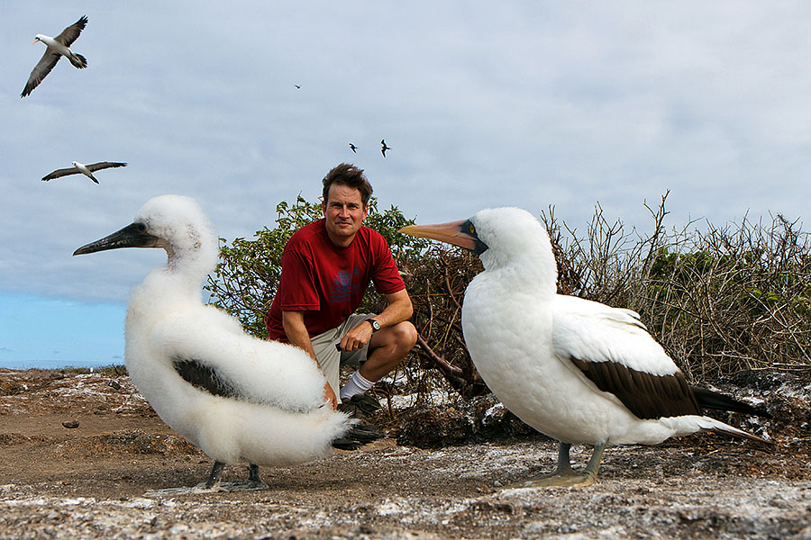 galapagos islands alek boobies