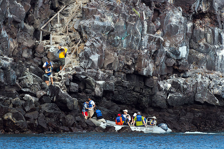 galapagos islands genovesa dry landing closeup