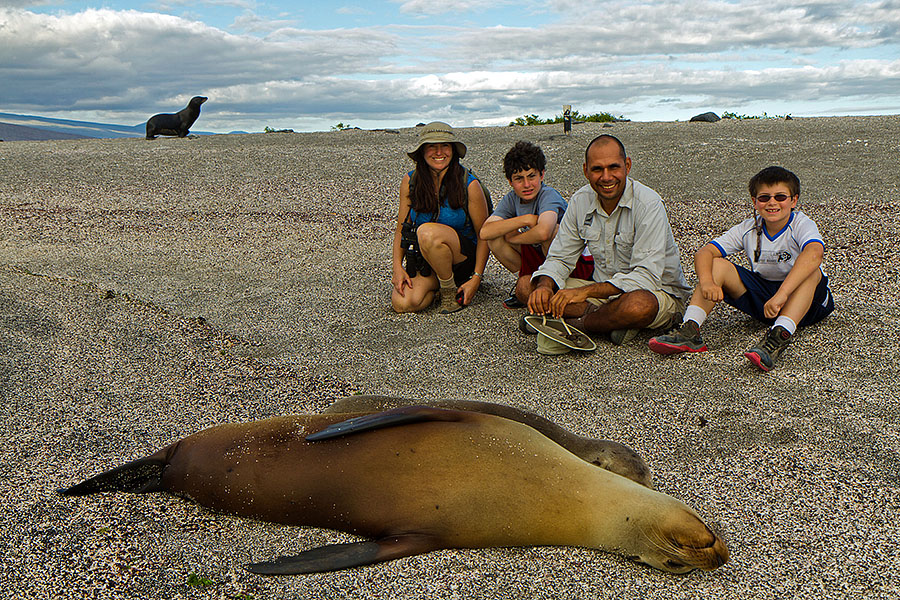 galapagos islands isabela sea lions portrait