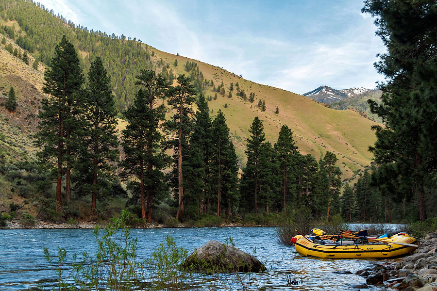 rafting middle fork salmon river idaho d3