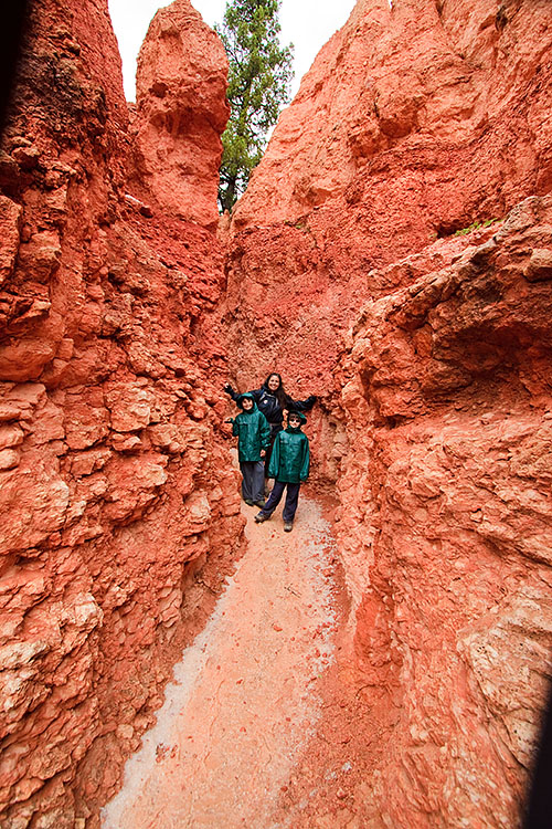 bryce canyon utah 7