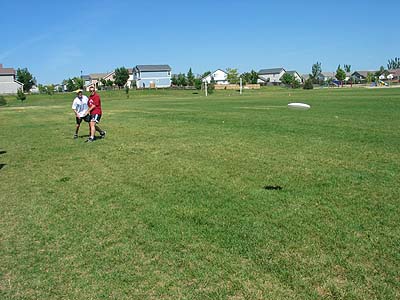 frisbee