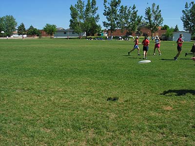 frisbee