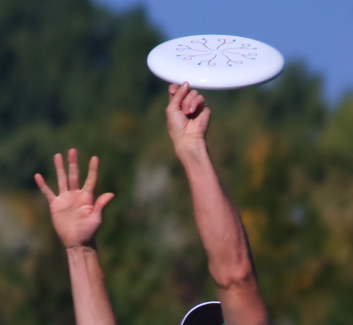 frisbee picture