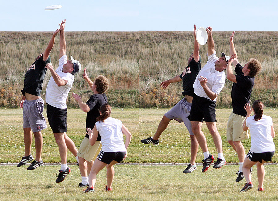 frisbee picture