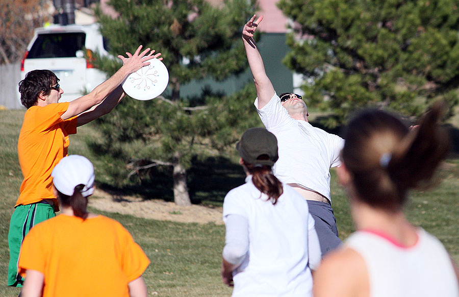 frisbee picture