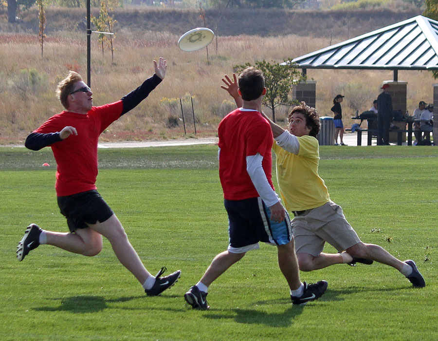 frisbee free-for-all