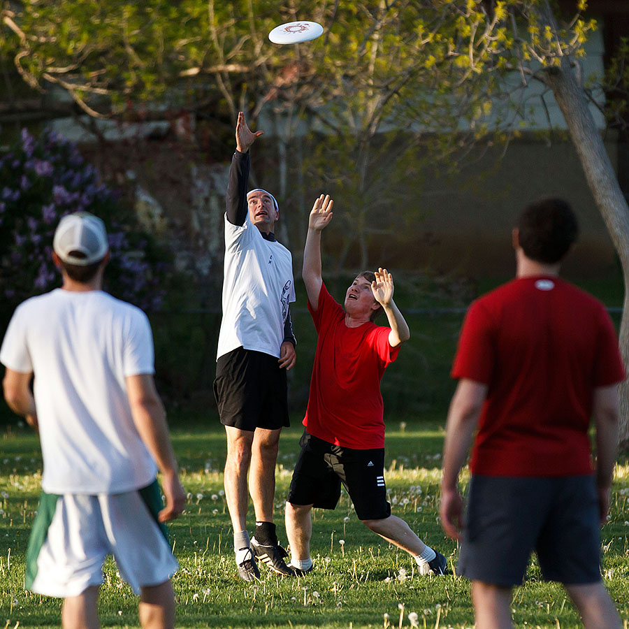 frisbee  jessie