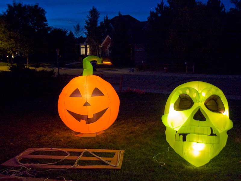 halloween pumpkin skull