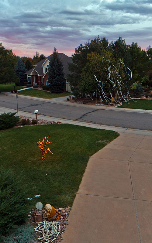 halloween tree TP