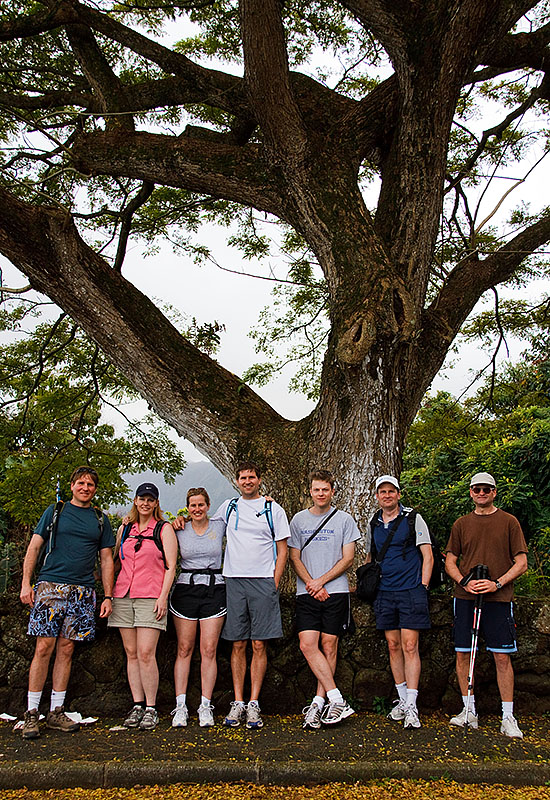 maunawili trail hawaii b