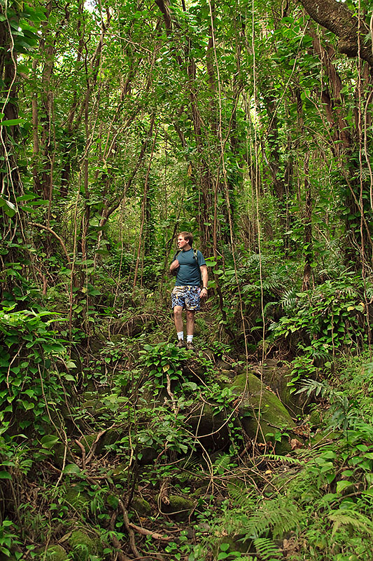 maunawili trail hawaii g