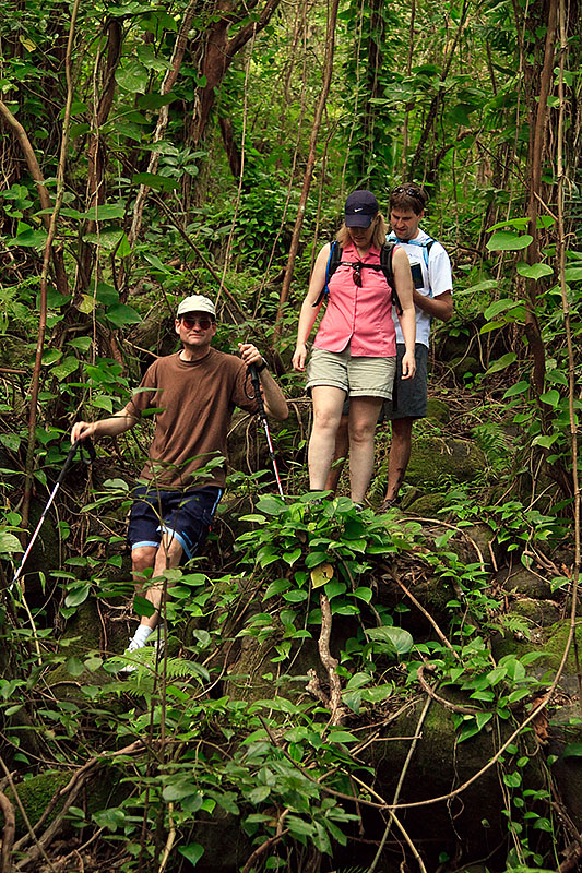 maunawili trail hawaii j