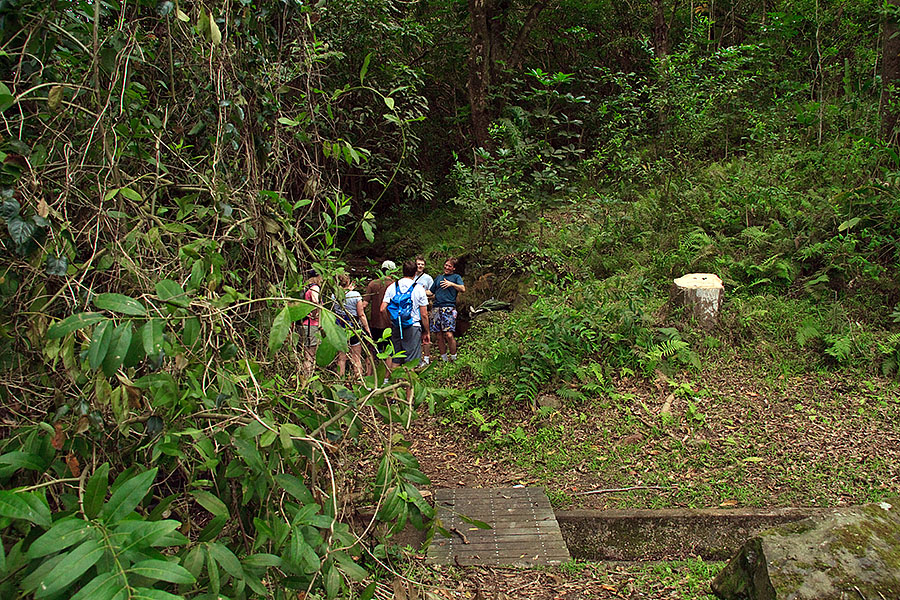 maunawili trail hawaii n