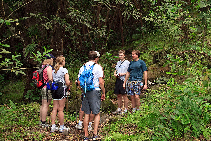 maunawili trail hawaii o