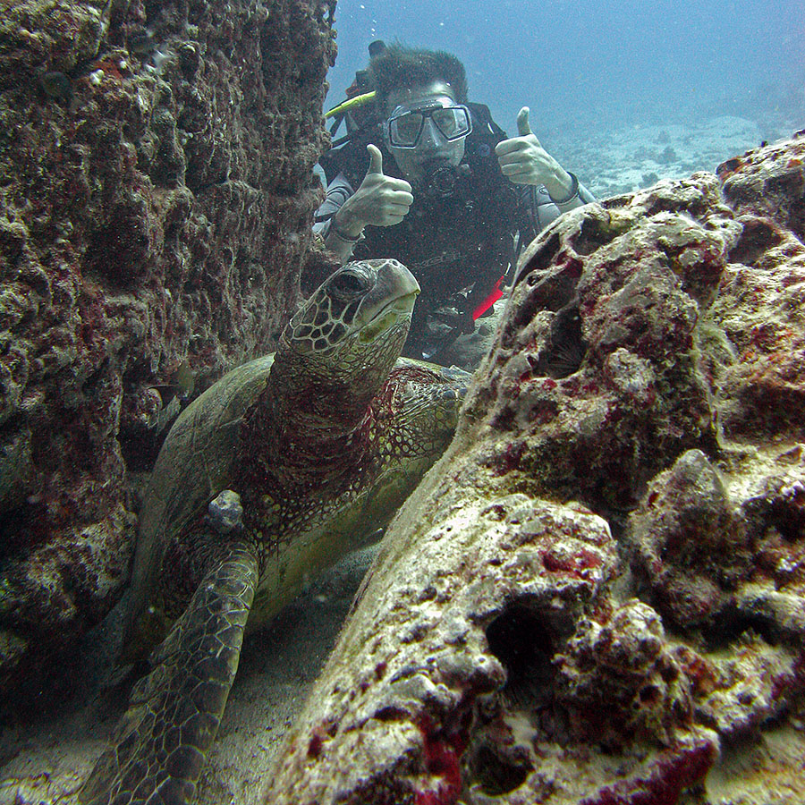 kailua hawaii scuba 1